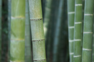 阿里挖網(wǎng)易墻角的那些事