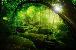 她是全世界最著名的第三者：恥辱當(dāng)然不是獎(jiǎng)牌，但它應(yīng)是一場(chǎng)革命