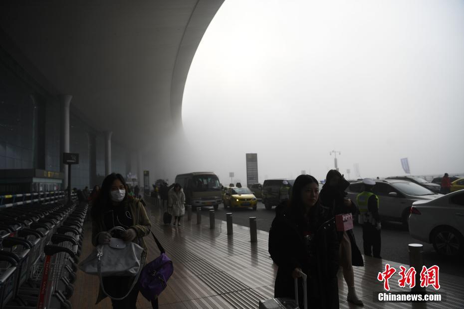 濟南城市綠化實施細則征求意見，認養樹木綠地擬享有冠名權