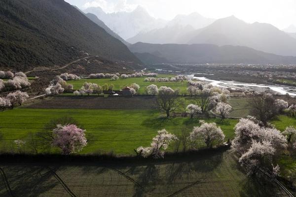 中國首個國家氫能動力質量監(jiān)督檢驗中心開建