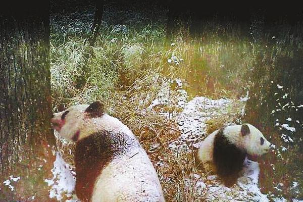 河北三河一商戶發生液化石油氣瓶爆燃事故 10人受傷