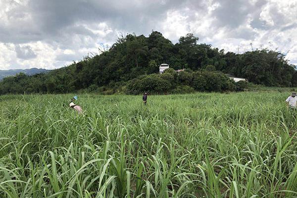 投資約32億元！中能建光伏制氫及氫能配套產業項目獲批