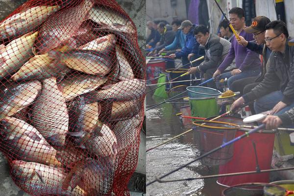 華為方面披露股權架構:任正非有否決權而非決定權