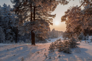 11月8日環(huán)衛(wèi)招投標(biāo)速遞：30個(gè)項(xiàng)目含14個(gè)千萬級(jí)項(xiàng)目