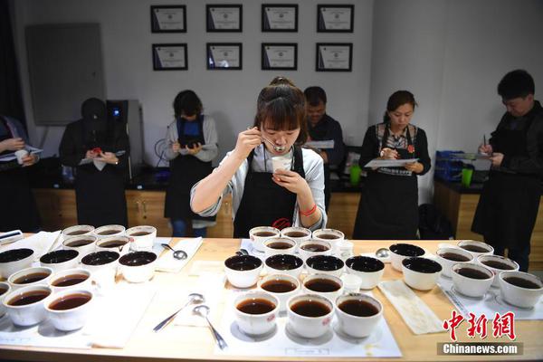 中國工程院院士彭蘇萍：燃料電池發電是最穩定的電源