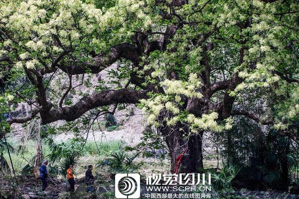 細讀經(jīng)典26：印度神作《三傻大鬧寶萊塢》