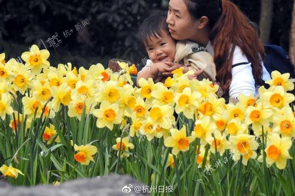 “配電主設備狀態檢測與可靠性評價技術研究與開發”啟動會召開