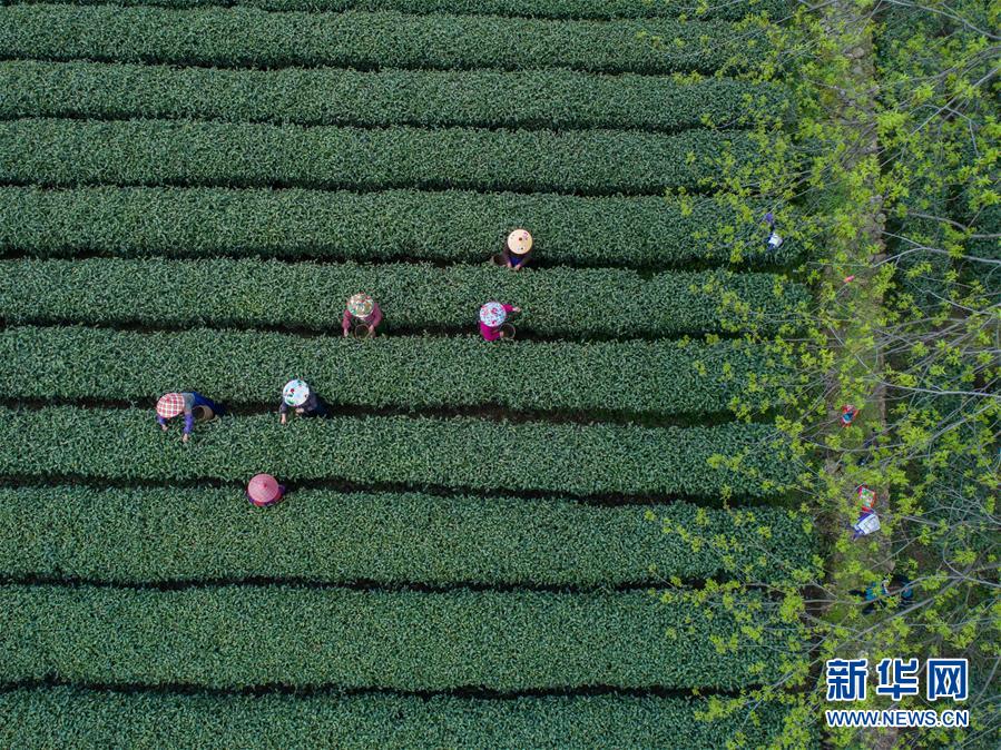 為什么患者會很容易喜歡上醫(yī)生？