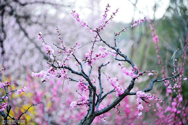 甲胎蛋白陰性也會(huì)得肝癌？