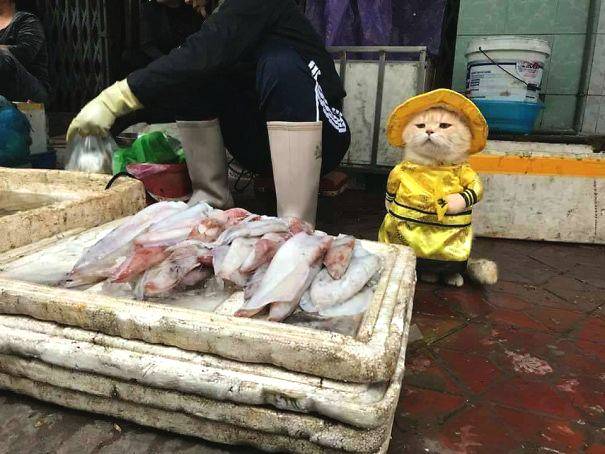 你們知道私房攝影是怎么拍照的嗎？