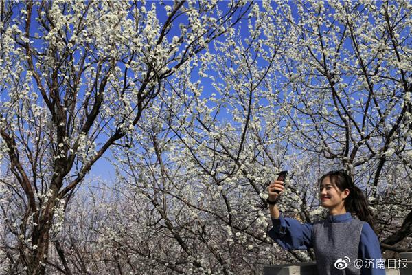 百貨50條，全部是實用的玩意兒（02.21）