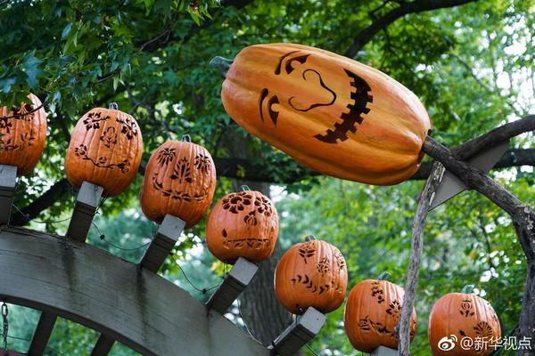 居家學習不讓孩子掉隊!濟南九區中小學校、幼兒園"停課不停學"