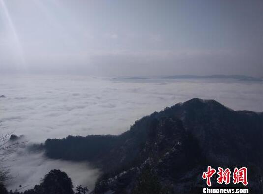 7.0媽媽咪鴨小萌鴨烏龍認