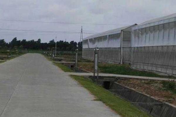 海南9000元假宮頸癌疫苗案開出罰單：沒收醫院違法所得，罰款8000元
