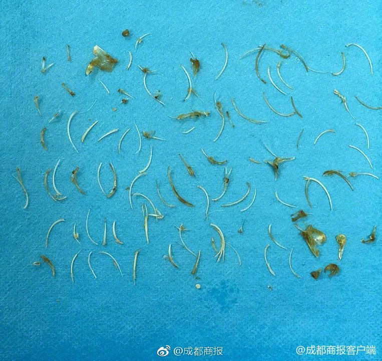 中央企業財稅檔數智化建設研討會在京成功舉辦