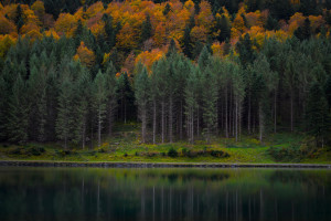 真正的商戰(zhàn)，比騰訊老干媽事件還離譜