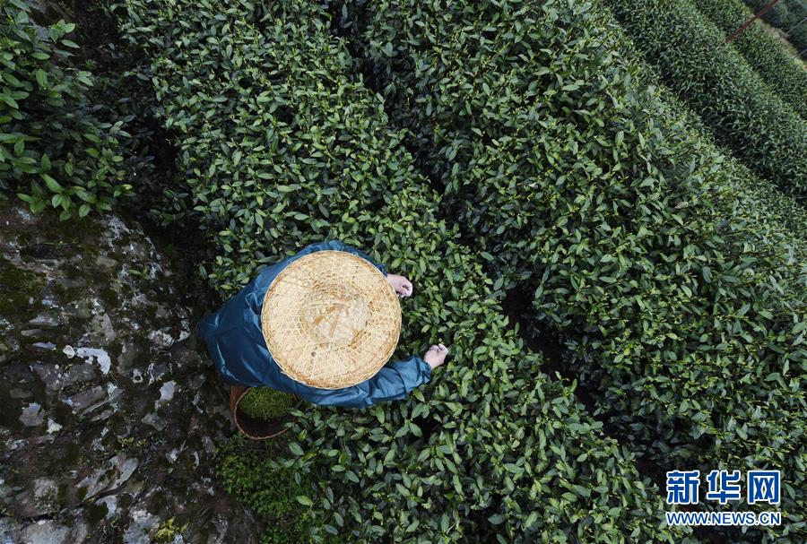 安防技術智能化規模應用 平臺化是核心