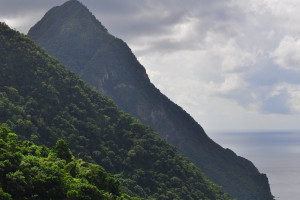 普陀：浙江舟山首條氫能公交示范線開通