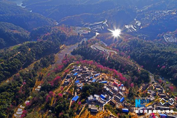 游戲更新太慢？ 官方承諾《Apex英雄》會有新模式
