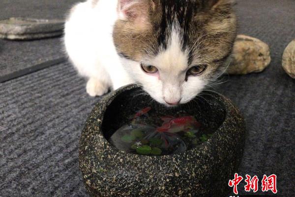 2020年2月25日0時至12時山東省新型冠狀病毒肺炎疫情情況