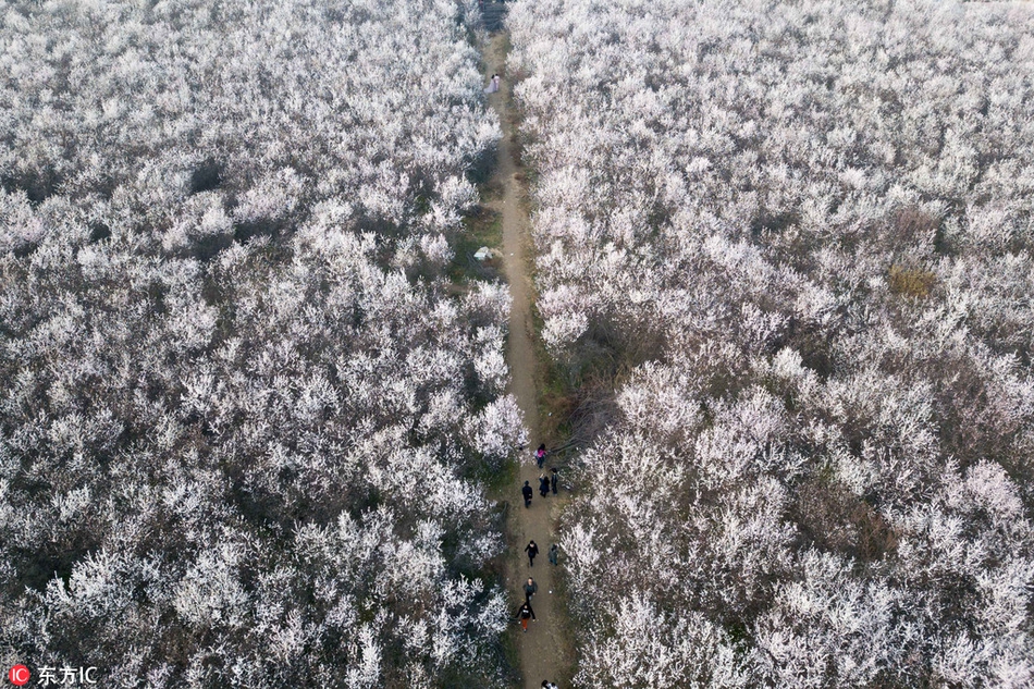 川投瀘州天然氣發(fā)電項(xiàng)目220千伏送出工程項(xiàng)目核準(zhǔn)獲批