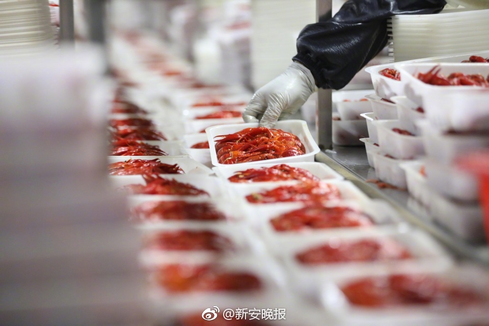 北極星學社APP職場人的職業(yè)力充電平臺