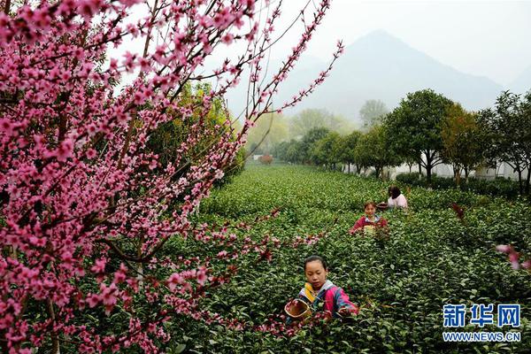 真正的商戰(zhàn)，比騰訊老干媽事件還離譜
