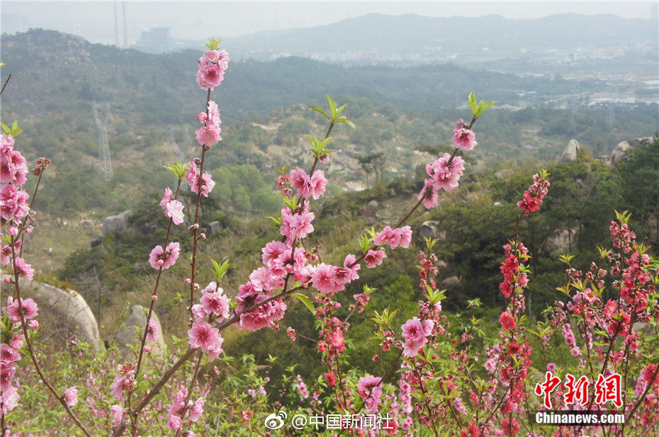 真正的商戰(zhàn)，比騰訊老干媽事件還離譜